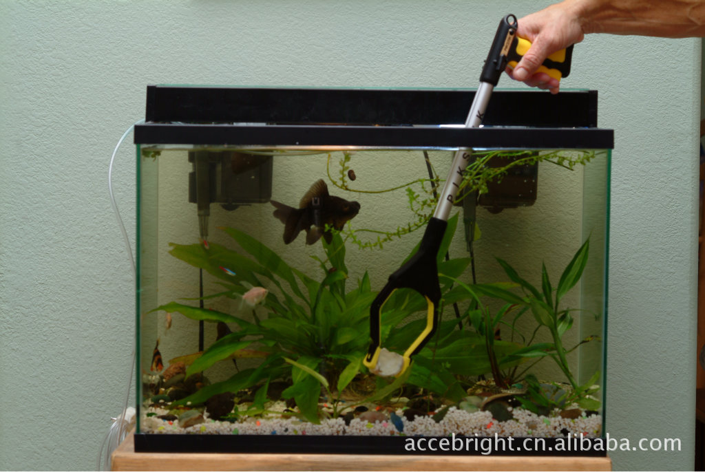 20 yellow Pro in fishtank4