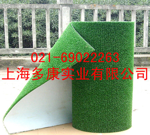 淘金草、沾金毯