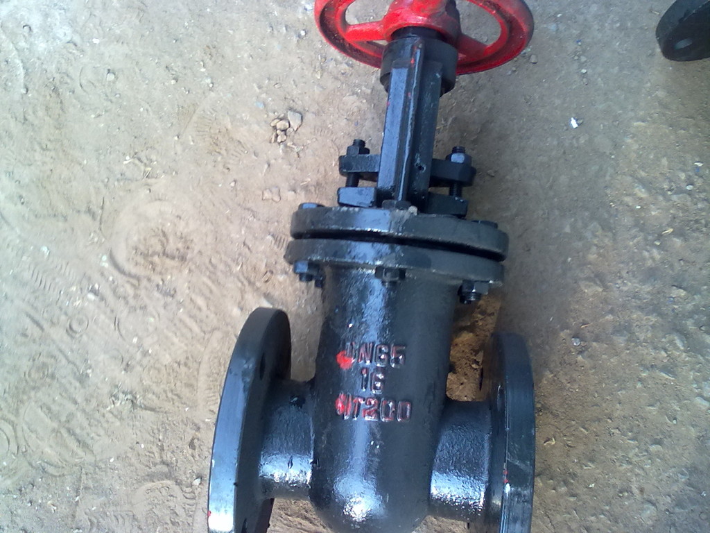 闸阀 平行式双闸板 Z44T-10 国标重型 DN125 厂家直销 质优价美