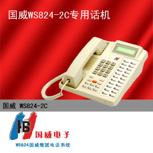 WS824-2C专用话机