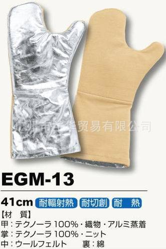 Technora ͷ и ͸ EGM-13