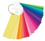 PANTONE nylon нейлон яркий цвета костюм TN цвет карты 21 нейлон цвет карты FFN100