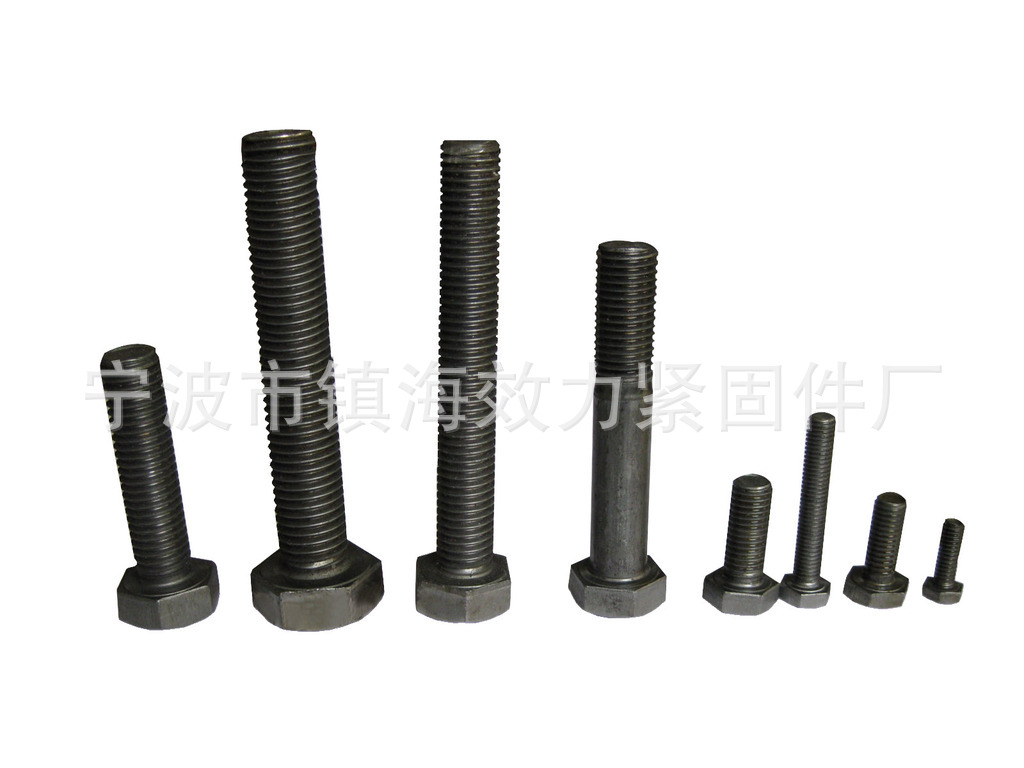镇海效力供应GB5783外六角螺栓  发黑(图)