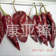 长椒干辣椒 厂家供应新疆辣椒金塔大红甜椒等板角系列 厂家直供