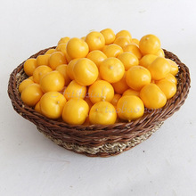 广东桔子_广东桔子价格_优质广东桔子批发\/采