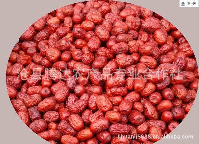 Полевая сертификация Cangzhou Jinsi Jujube без ядра