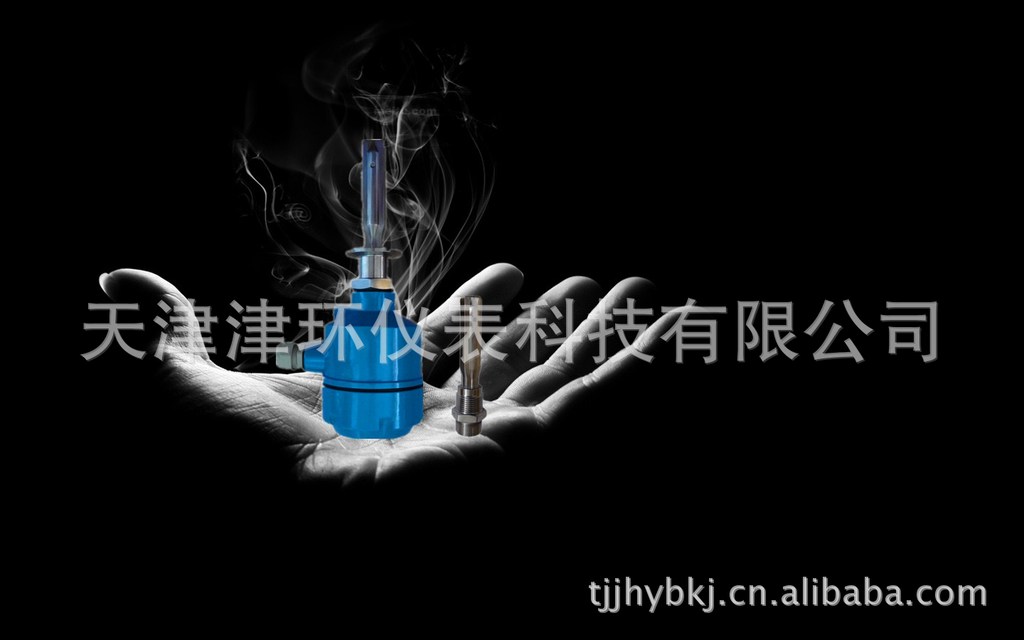 食品行业专用卫生型音叉开关 音叉开关就选津环科技 价格合理