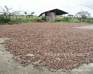 һ��؛Դ���l������ԭ�ϰ������L��������й���̹�ˇƷ