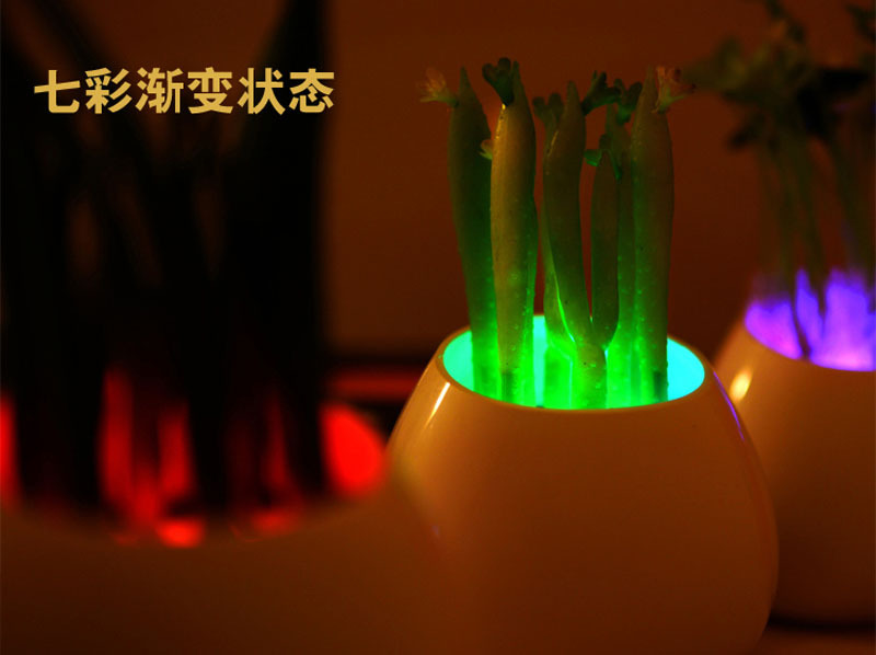 Manufacturers selling genuine pots pots Nightlight Nightlight light colorful Nightlight gifts10