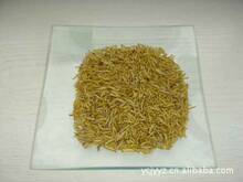 供应蝇蛆干/麦麸养殖/ 微波低温制干/1000克