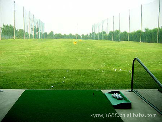 %25E9%25AB%2598%25E5%25B0%2594