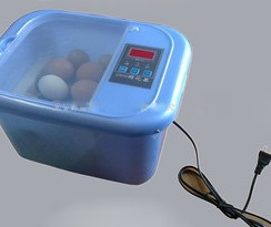 6枚全自动孵化机，孵化器，孵化机，孵蛋器蛋鸡小型孵化雏鸡