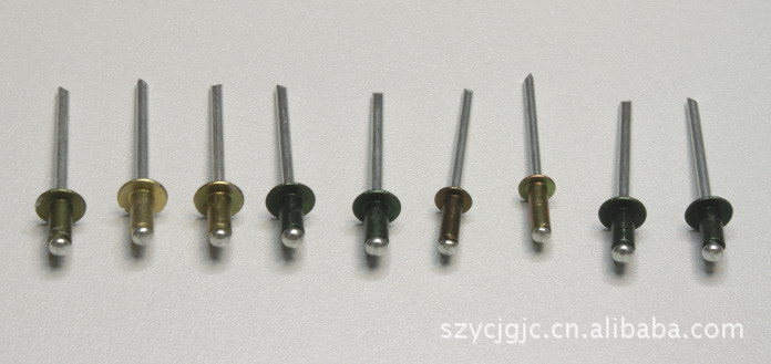 多种镀锌抽芯铆钉抽芯拉铆钉 抽芯铝铆钉半圆头铆钉 厂家批发