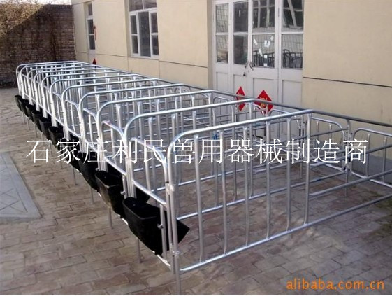 供应猪用定位栏 母猪定位栏 母猪限位栏 猪用限位栏 一套十个