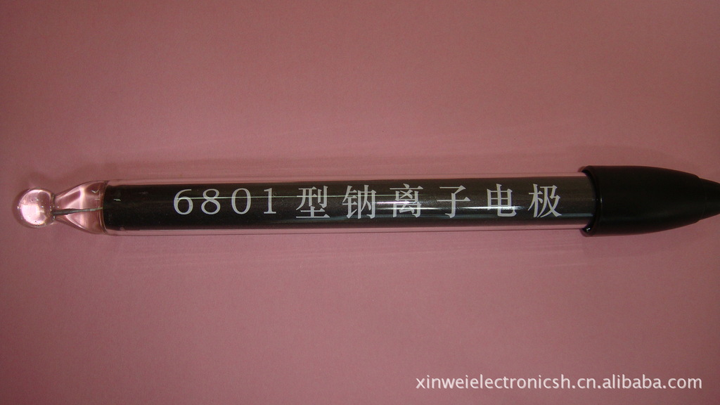 钠离子电极生产厂家