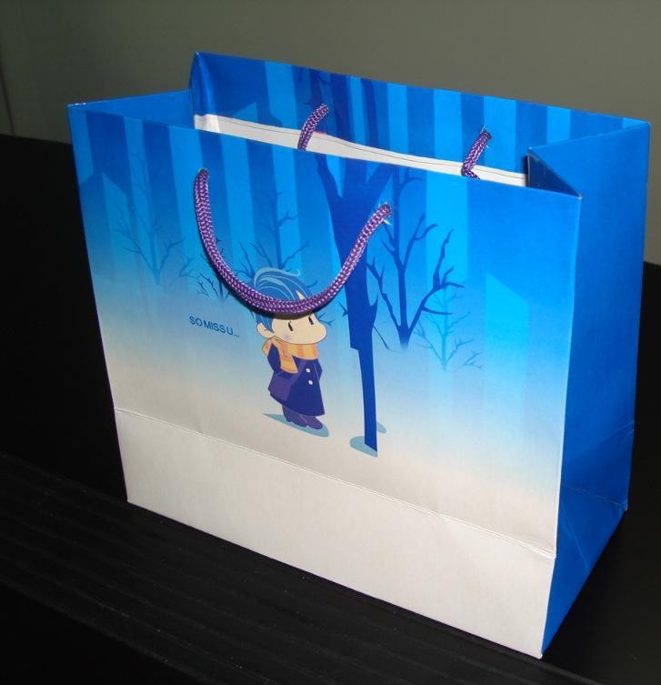 工厂订做简单款式，有手提棉绳，彩印纸袋