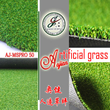 AAG Artificial grass turf ߠX˹Ƥ 