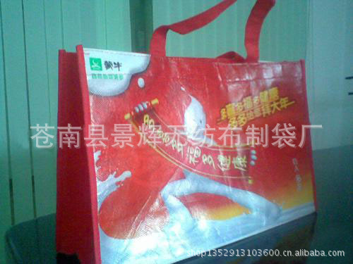 厂家专业定做无纺布袋 无纺布袋子 各种样式 批发量大价优