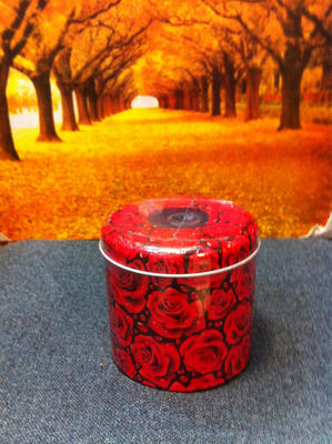 Manufactor customized Europe and America Idyllic Tinplate Pumping paper tube box)Iron art paper towel box Get free samples