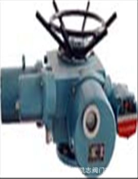 DZW10.DZW20电动执行器DZW30.DZW45.DZW60