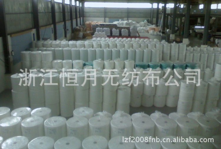 2025新款ES纤维热轧无纺布20克白色工业用布高密度多规格可选