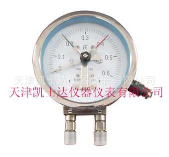不锈钢差压压力表，天津不锈钢差压压力表，不锈钢差压压力表厂家