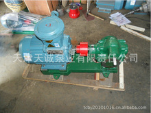 防爆銅輪泵KCB/不銹鋼潤滑泵/斜齒 人字齒泵/螺旋齒輪泵