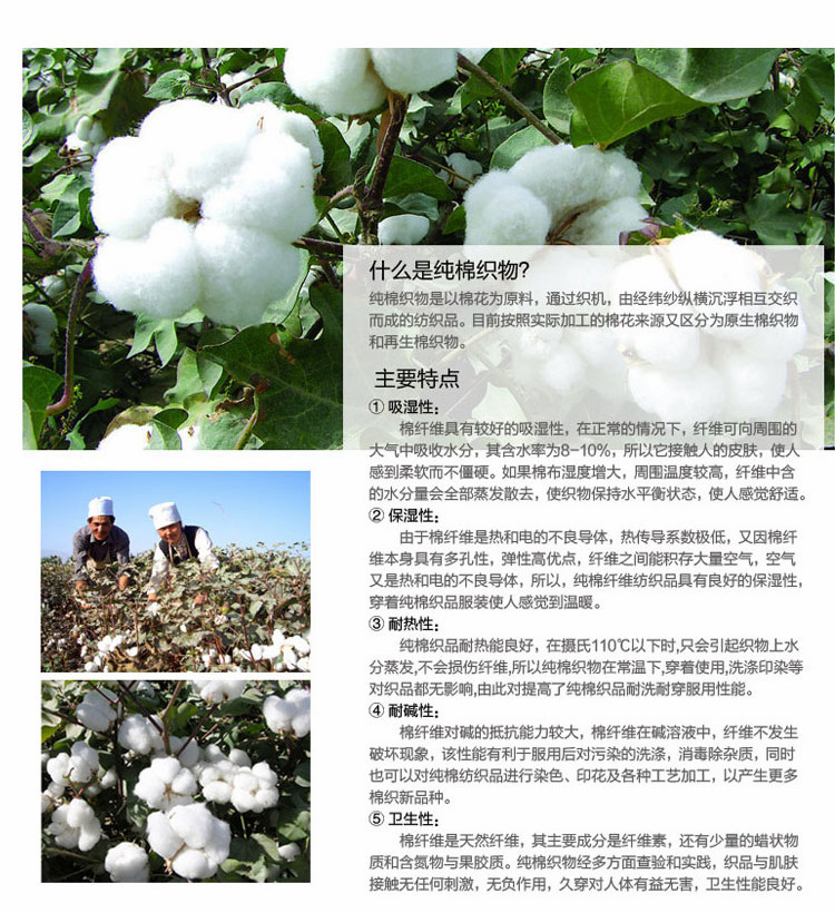 40支精梳棉_62