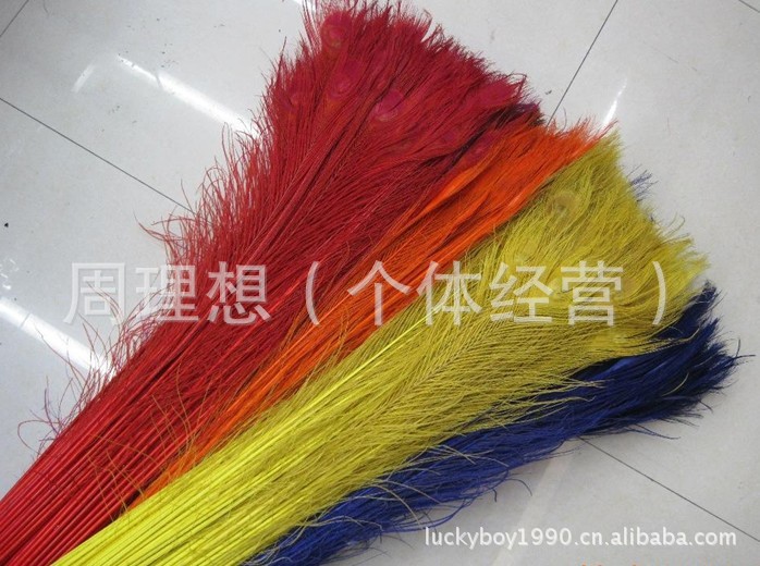 90-120cm孔雀尾染色