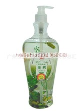 批发圣诗娜100%自然液体黄金茶树精华油1000ml 按摩油 精油