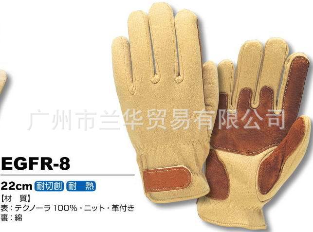 Technora и ͸·  EGFR-8