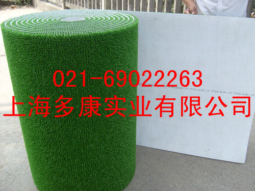 吸金布、采金草、吸金草