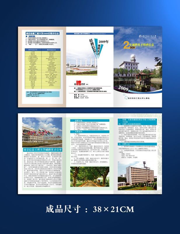 生产厂家大量订做双面印刷logo覆膜折页说明书简介