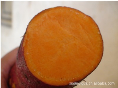 Wuhan sweet potato wholesale Yellow heart sweet potato Red heart sweet potato