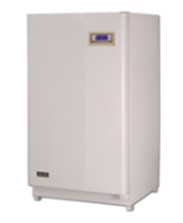 SPX-250BF-2生化培养箱