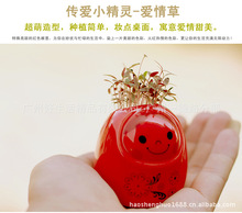 ��̬E԰ECOEY�մɴ���С����칫����ֲ�Դ���������Ʒ