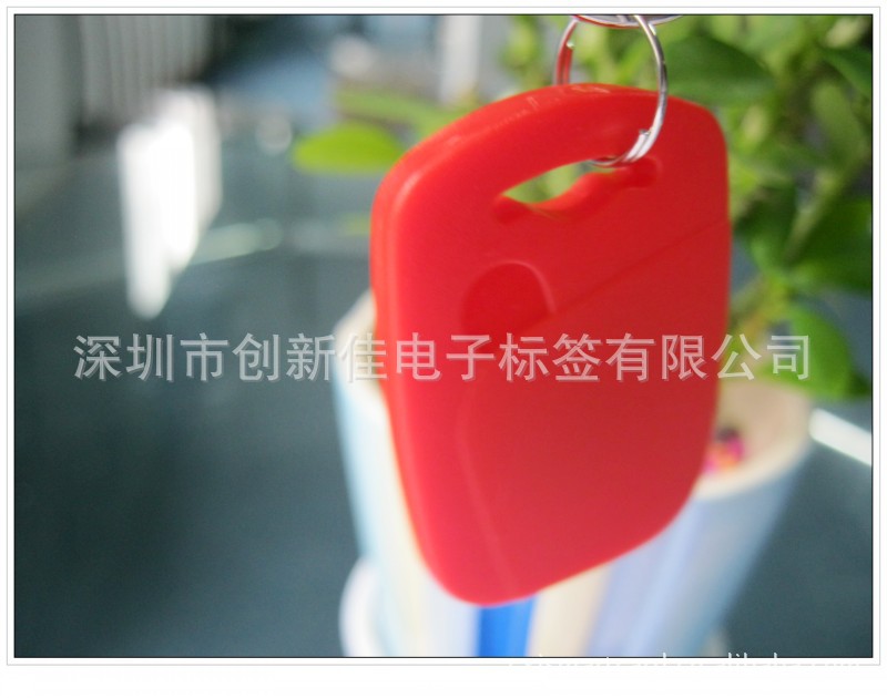 conew_照片 145