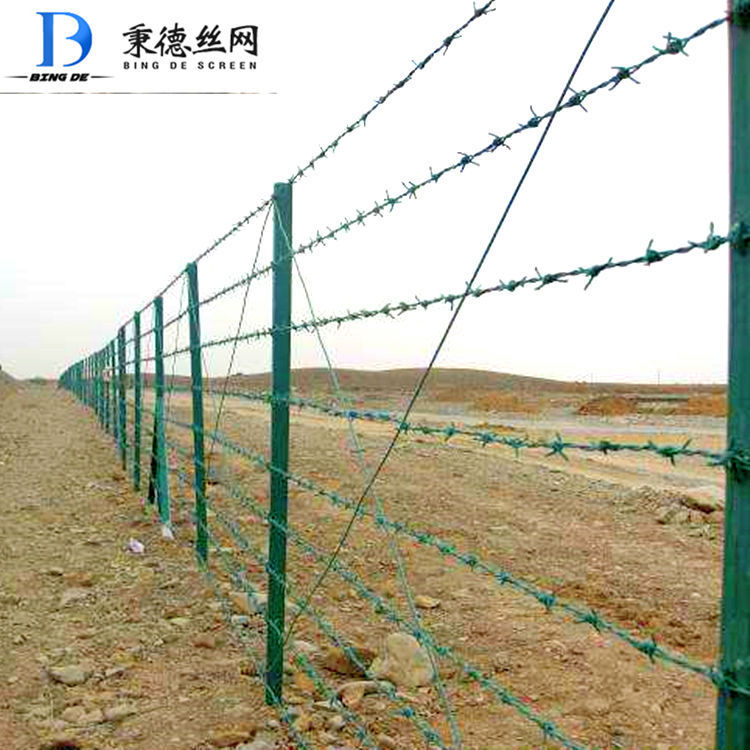 热镀锌包塑刺绳 厂家直销双股铁蒺藜 果园草场隔离包塑绿色刺绳