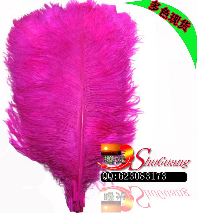 鸵鸟毛 45-50公分的 不等尺寸 颜色自选 用于舞台，服装，详情图6