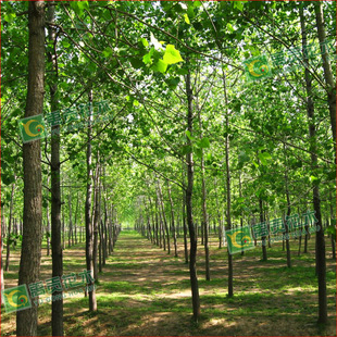 ����10���֗���繤�̾G���ח���� ��������� 2-20����Ҏ���Rȫ