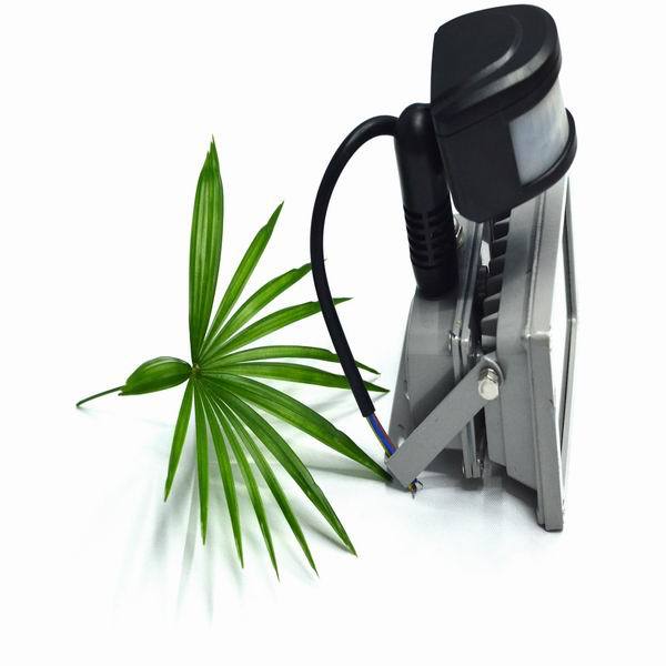 调整大小 重新曝光 _DSC9522