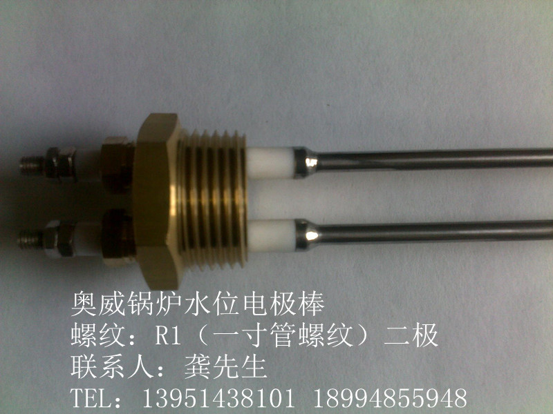 R1二根一体锅炉水位电极棒螺纹式二极水位探针水位感应测压