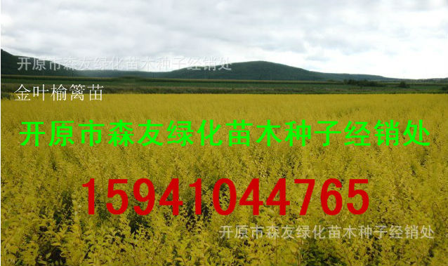 地接近业余