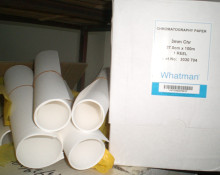 Whatman-3mm�����V�� 3030-704/1��/���^�V��