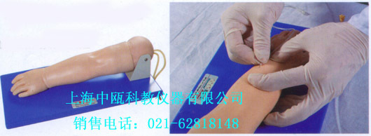 HS32型 高级小儿静脉穿刺手部模型,护理技能实习模型,人体解剖