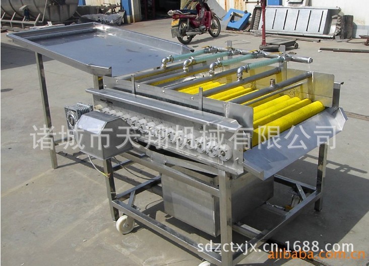 供应山东天翔 果蔬清洗去杂机蔬菜水果清洗机 果蔬清洗机售后保障