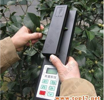 扫描式活体叶面积测量仪 YMJ-B叶面积测定仪