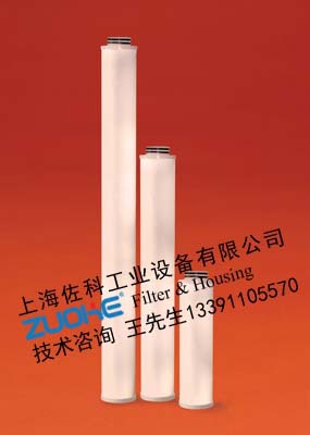 供应 Mykrolis涂膜机过滤器滤芯 CWFG00403光刻机囊式过滤器