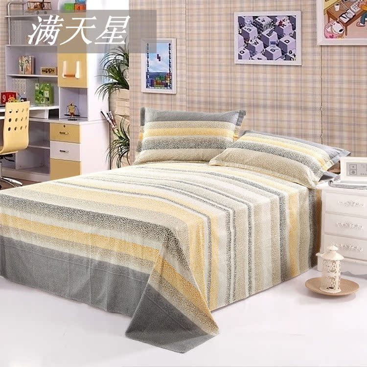滿天星_副本