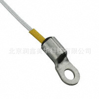 供应US Sensor传感器温度探头USUR1000-103G-06